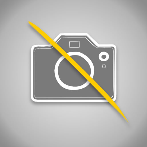 lAZO CON PURPURINA PLATA 6,3x270cm